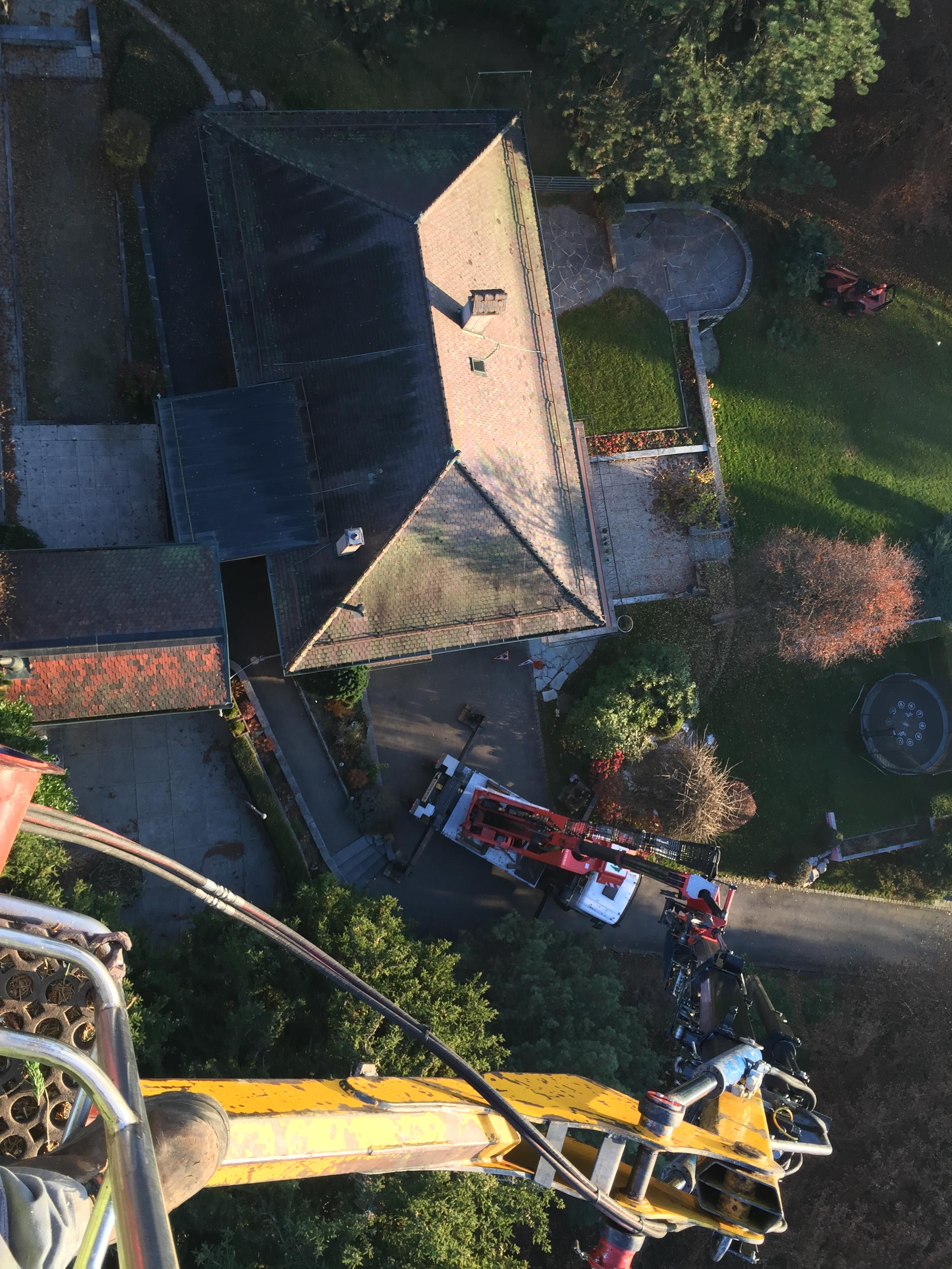 Démontage d'arbre à la nacelle dans le Jura — SAS POLYVIER